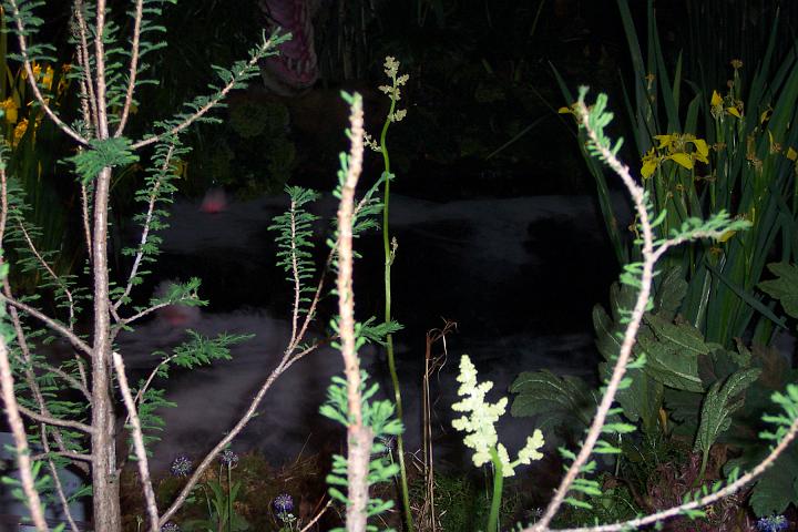 L_W 089.jpg